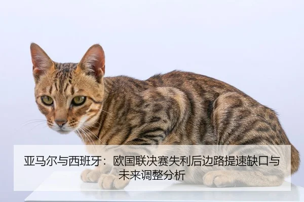 ya-ma-er-yu-xi-ban-ya-ou-guo-lian-jue-sai-shi-li-hou-bian-lu-ti-su-que-kou-yu-wei-lai-tiao-zheng-fen-xi-2-826.jpg